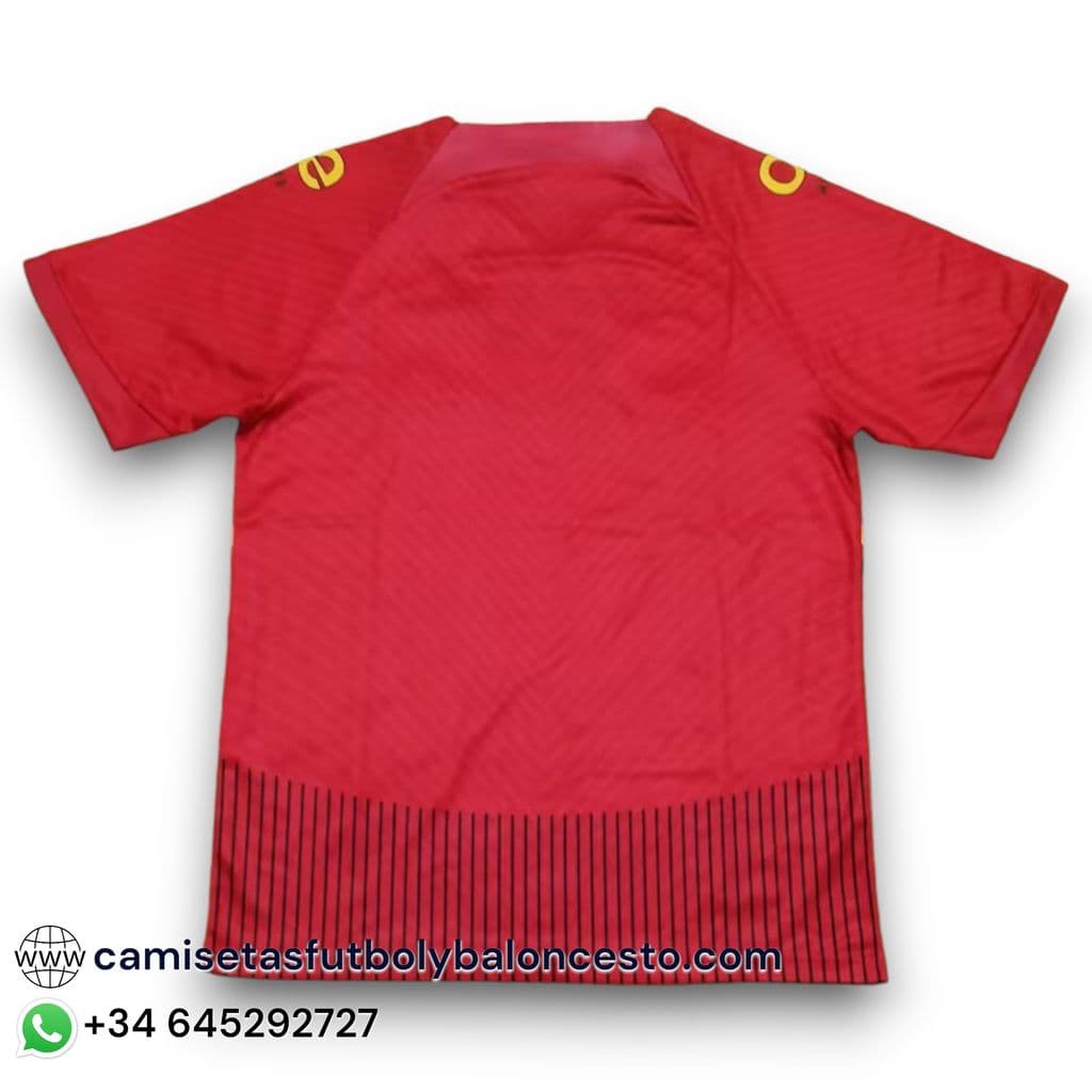 Camiseta Camerún 2023-2024 Alternativa - Imagen 2
