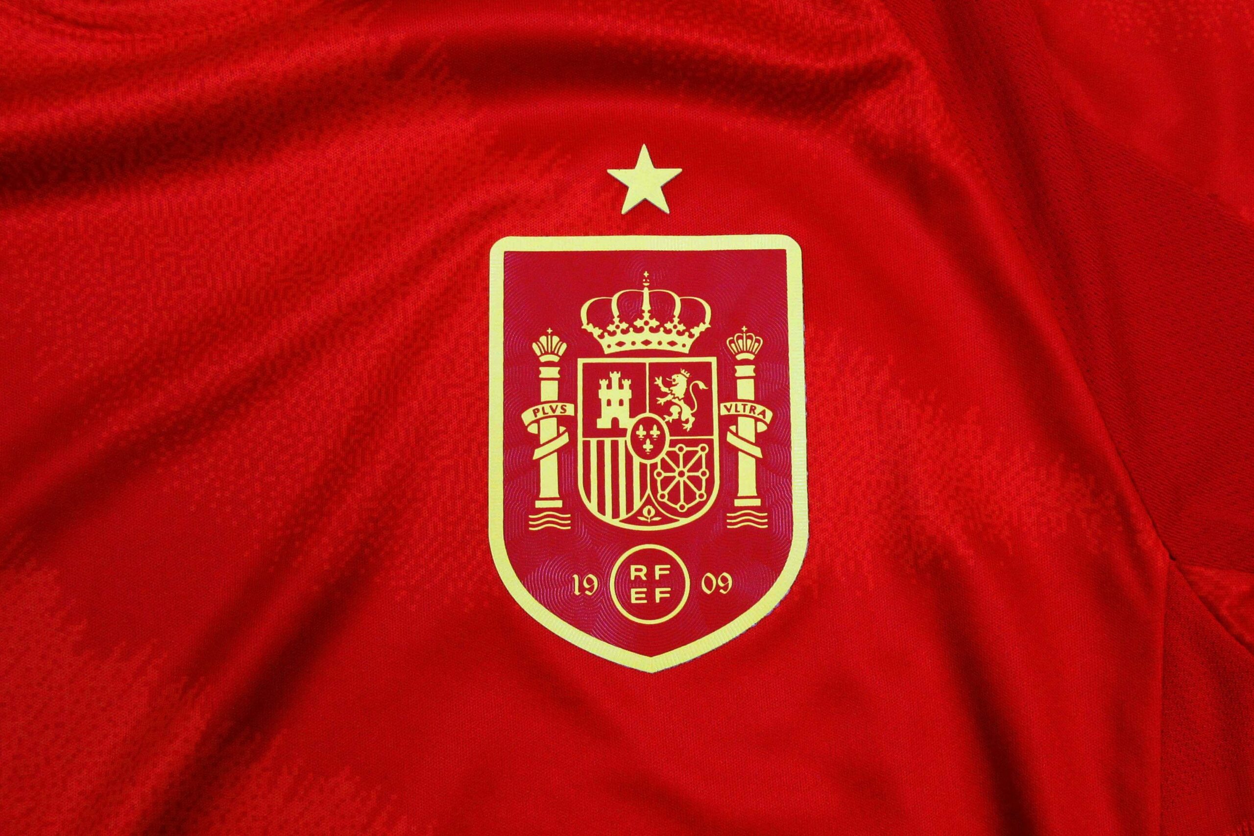 Camiseta España 2024-2025 Local - Version Pro Player - Imagen 4