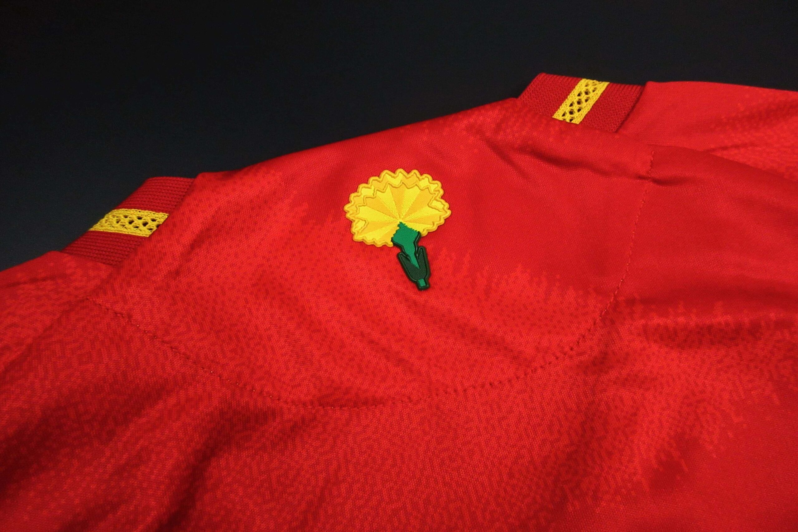 Camiseta España 2024-2025 Local - Version Pro Player - Imagen 5