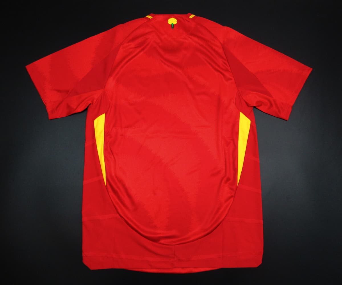 Camiseta España 2024-2025 Local - Version Pro Player - Imagen 6