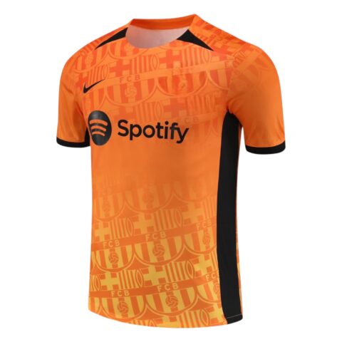 Camiseta Barcelona 2024-2025 Entrenamiento