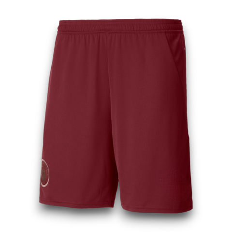 Pantalón corto Manchester City 2024-2025  Alternativa