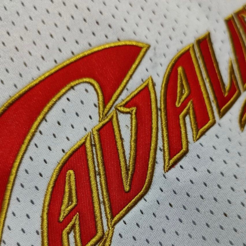 Camiseta Lebron James Cavaliers 2003/04 Mitchell & Ness Swingman - Imagen 5