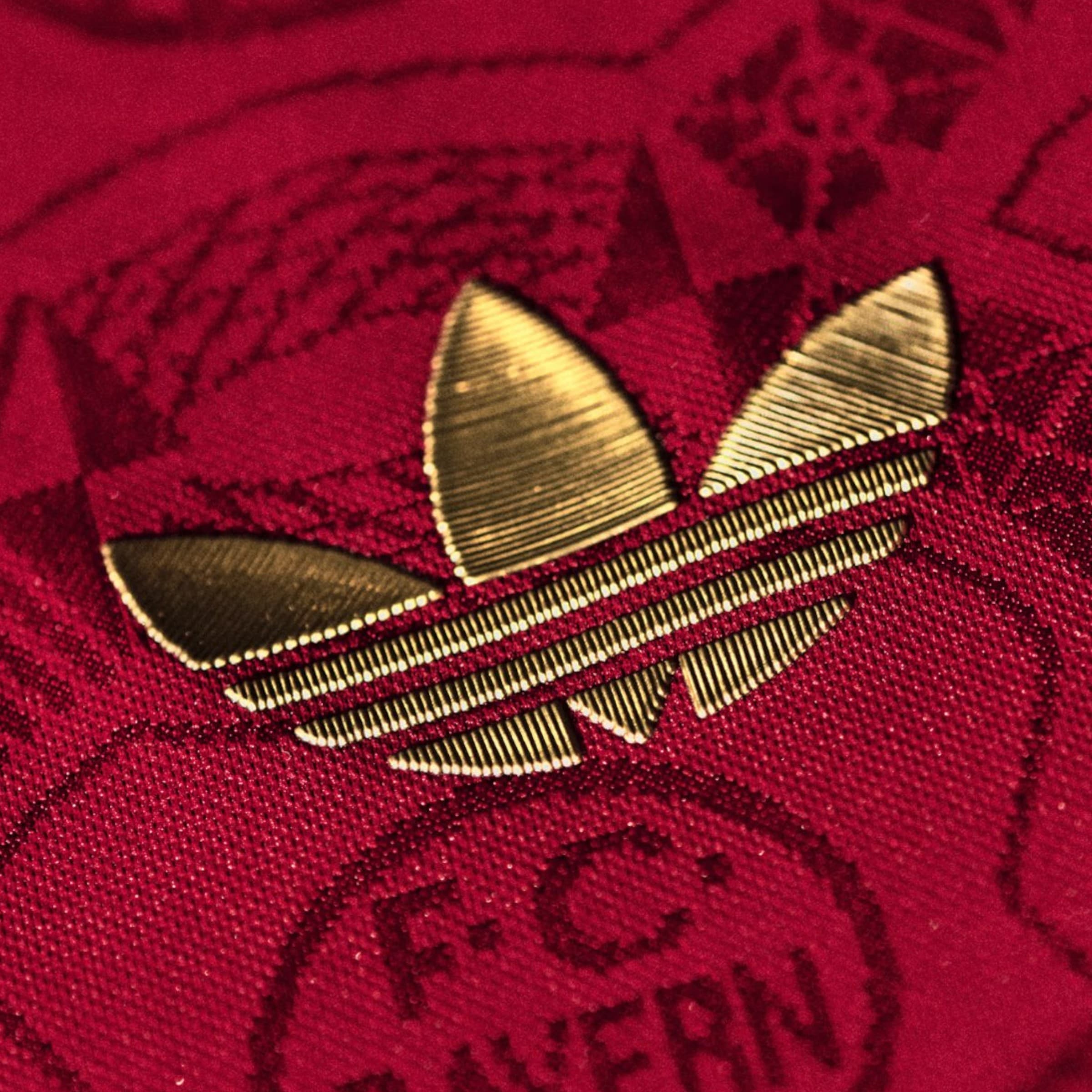 Camiseta Bayern Múnich 2025-2026 125th Aniversario Manga Larga - Version Pro Player - Imagen 4