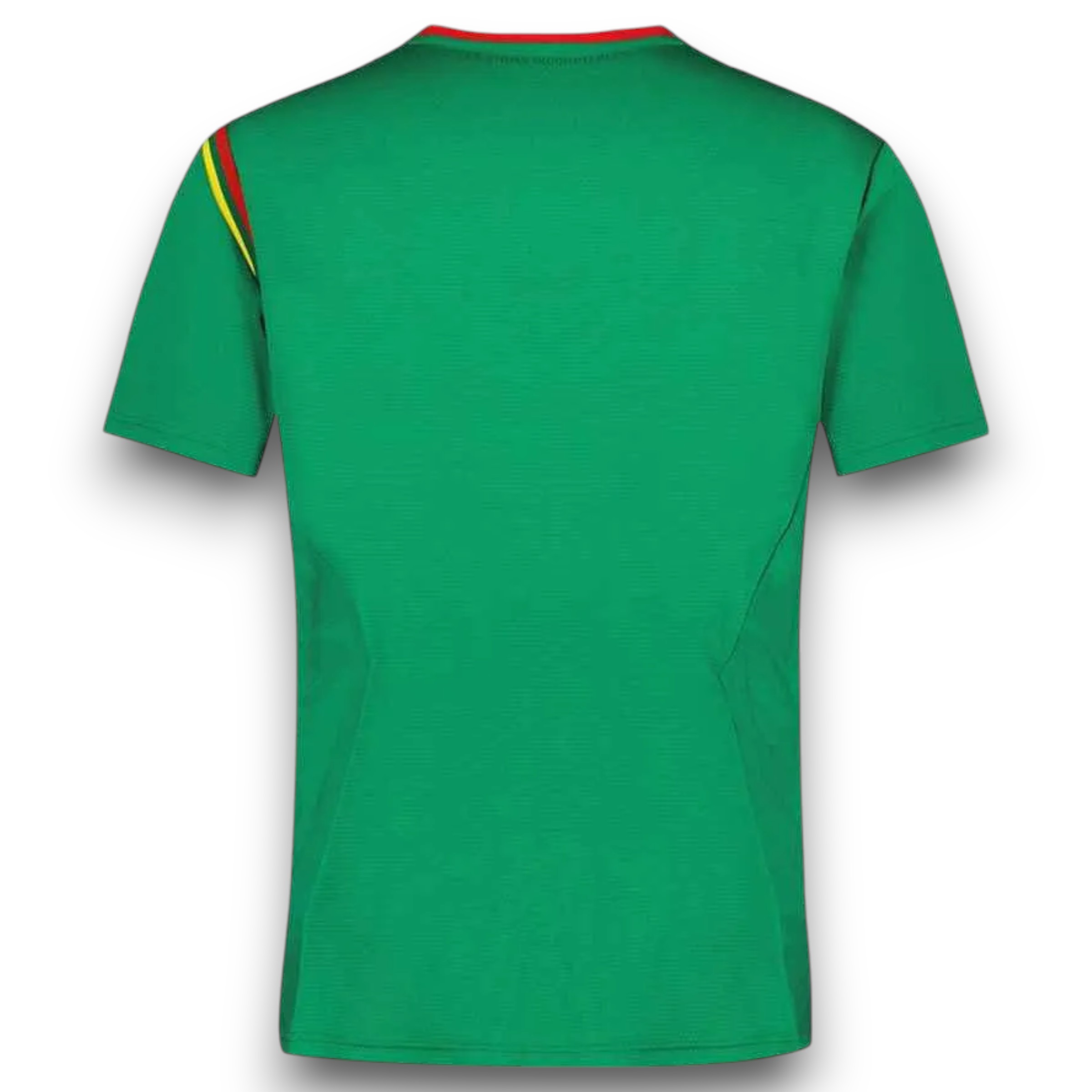 Camiseta Camerun 2024-2025 Local - Imagen 2