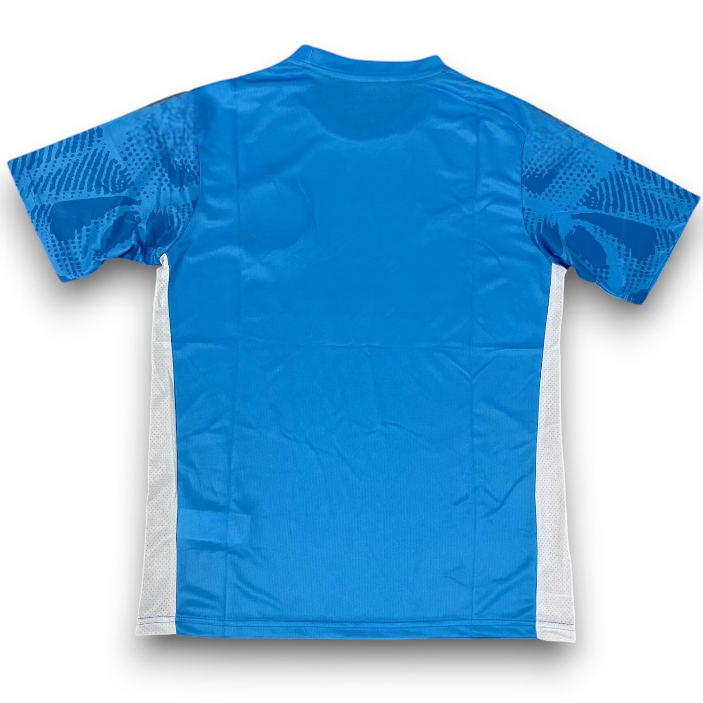 Camiseta Palmeiras 2025-2026 Portero Local - Imagen 2
