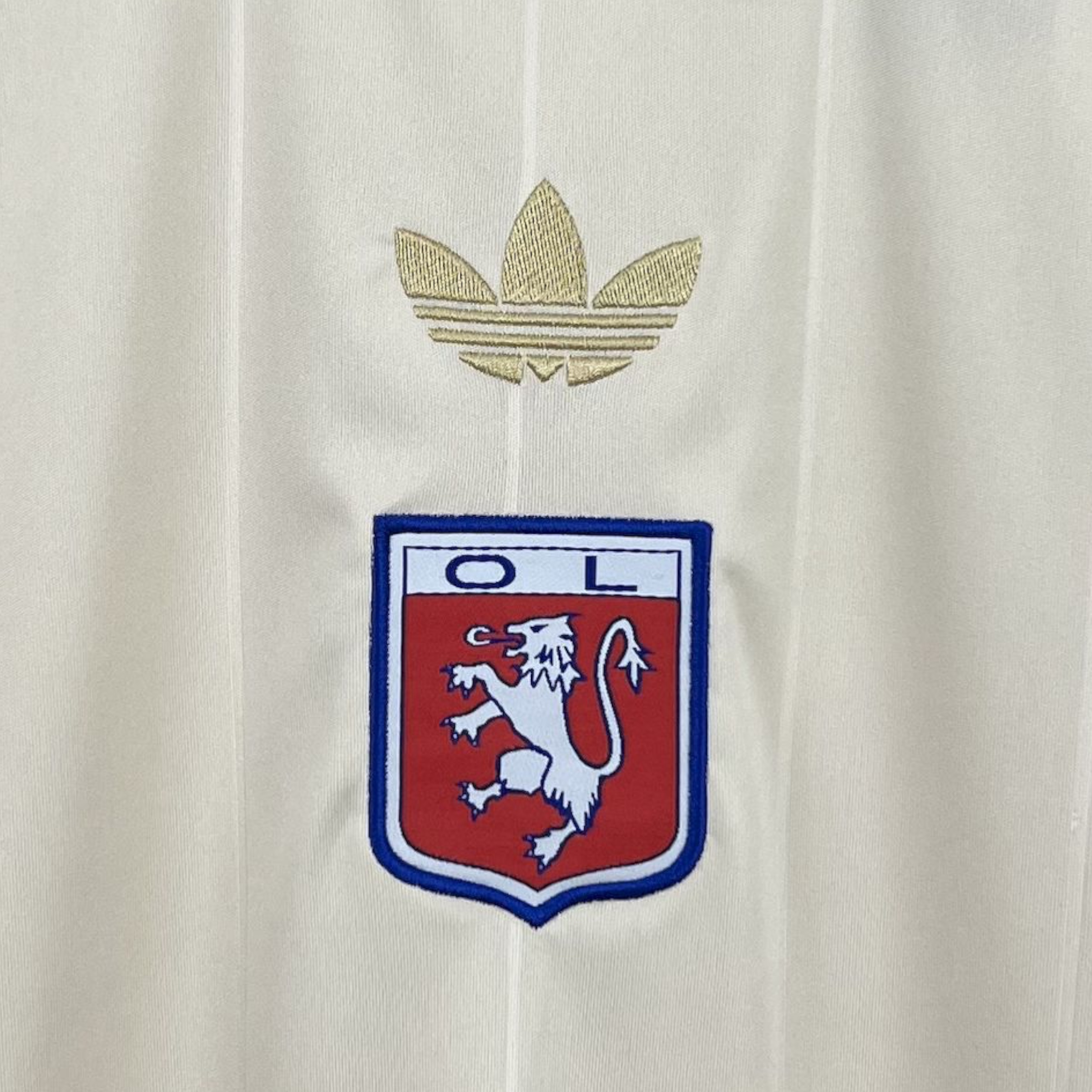 Camiseta Olympique Lyon 2024-2025 Alternativa Aniversario - Imagen 3