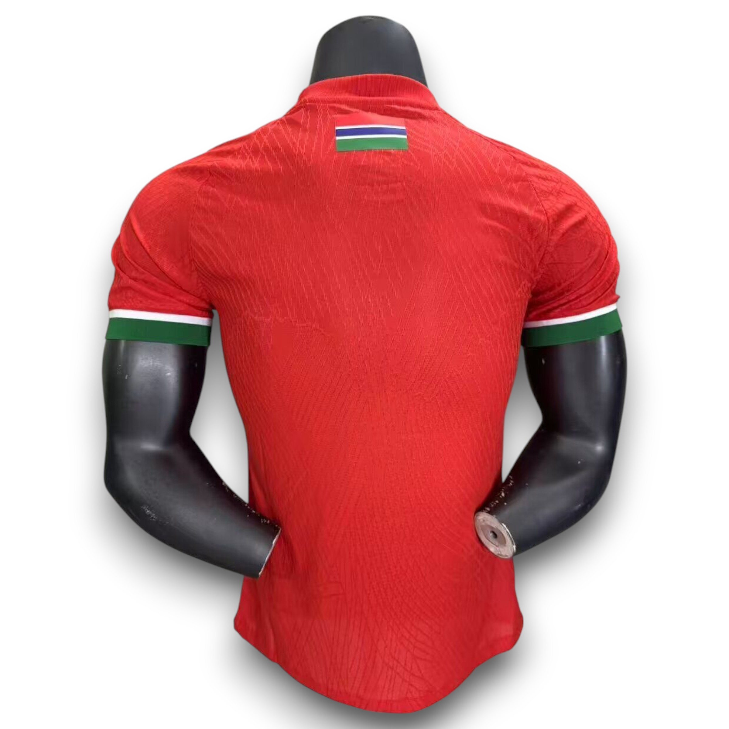 Camiseta Gambia 2025-2026 Local - Version Pro Player - Imagen 2