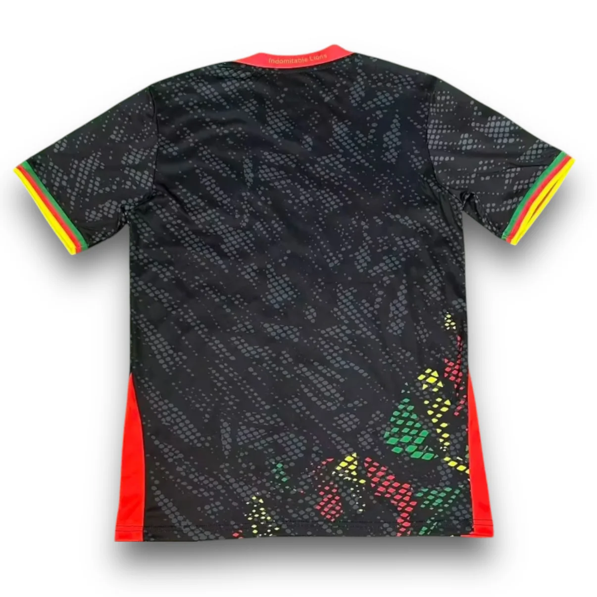 Camiseta Camerun 2025-2026 Especial - Imagen 2