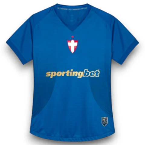 Camiseta Palmeiras 26-27 Tercera