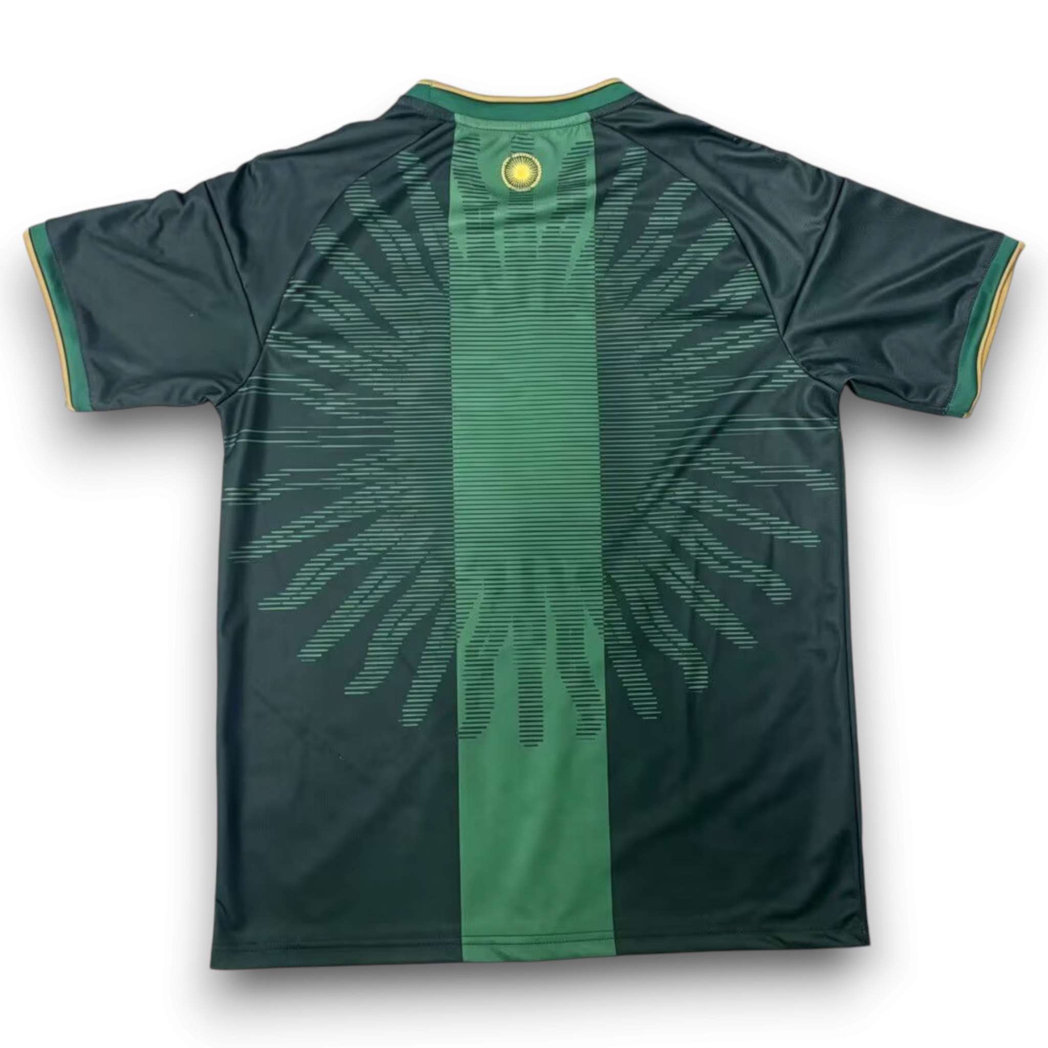 Camiseta Argentina Portero Edición Especial Messi - Imagen 3